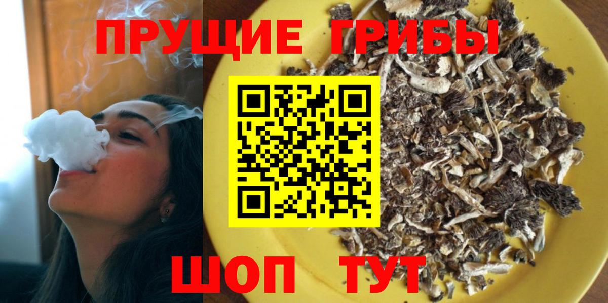 Псилоцибиновые грибы MAGIC MUSHROOMS  Вход с VPN  Шали 